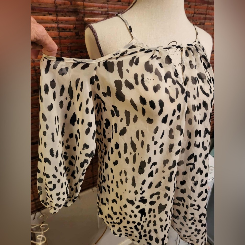 City Streets Sheer Black and Cream Leopard Blouse - Picture 5 of 5